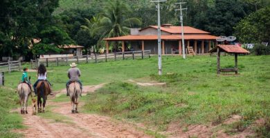 Artigo - Pequena propriedade rural e a jurisprudência quanto as suas exceções